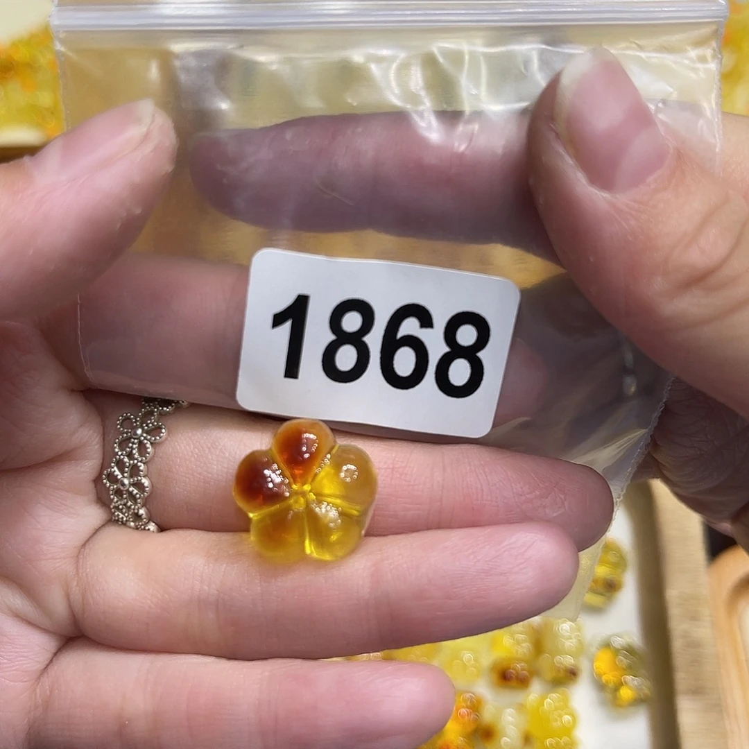 琥珀未镶嵌颈饰蜜蜡