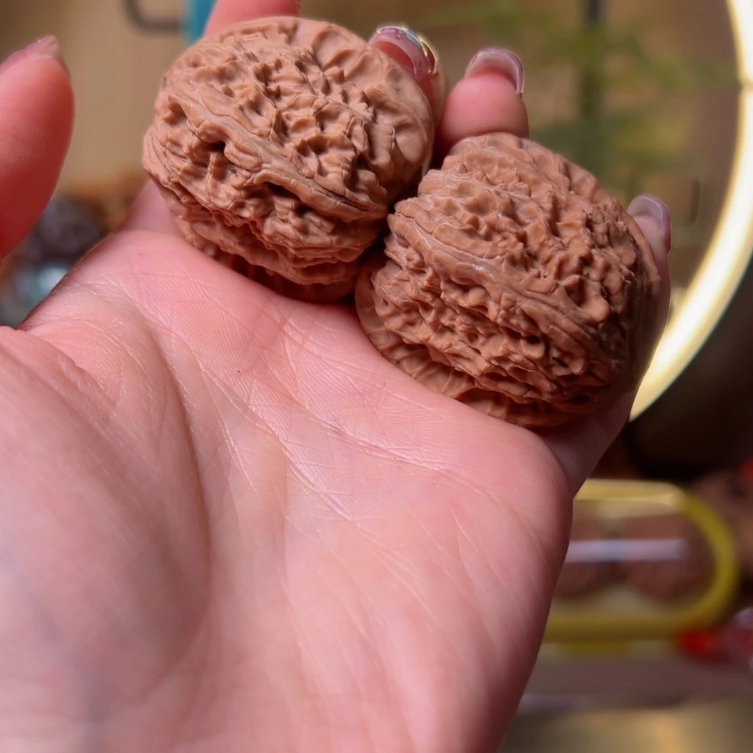 核桃其他卡37白狮子