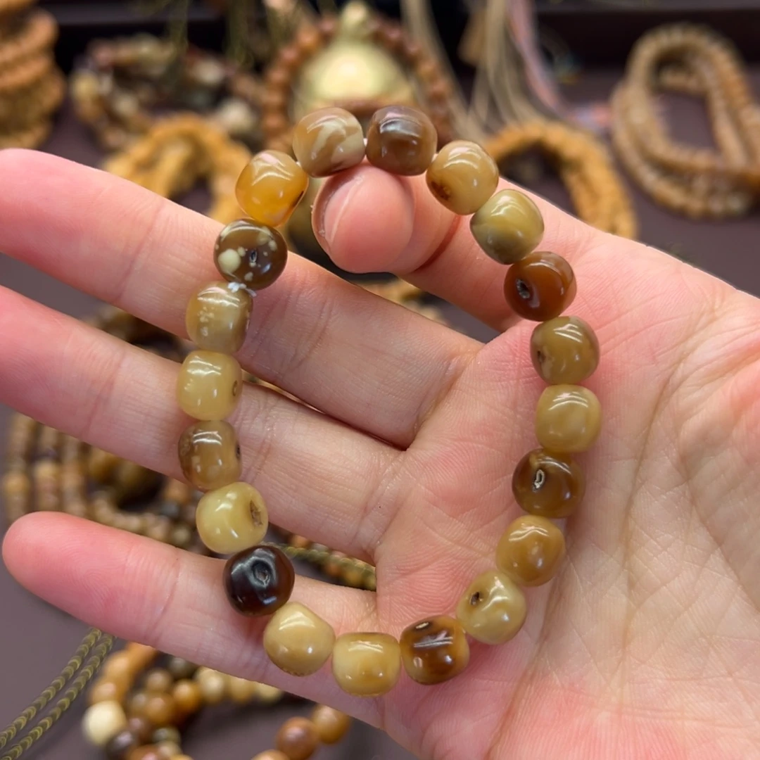 哈****龙脊菩提吊坠原籽