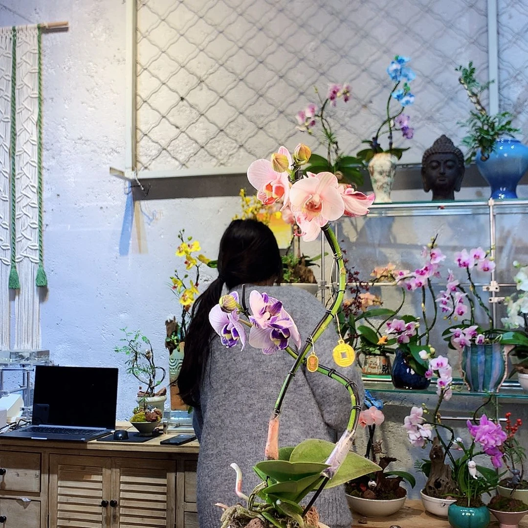 无花朵啊啊啊啊啊啊啊啊啊