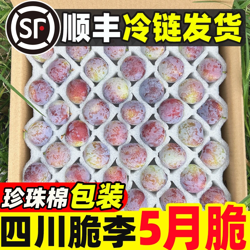 【顺丰+珍珠棉发货】正宗五月脆凤凰李新鲜水果脱骨蜂糖青脆李子