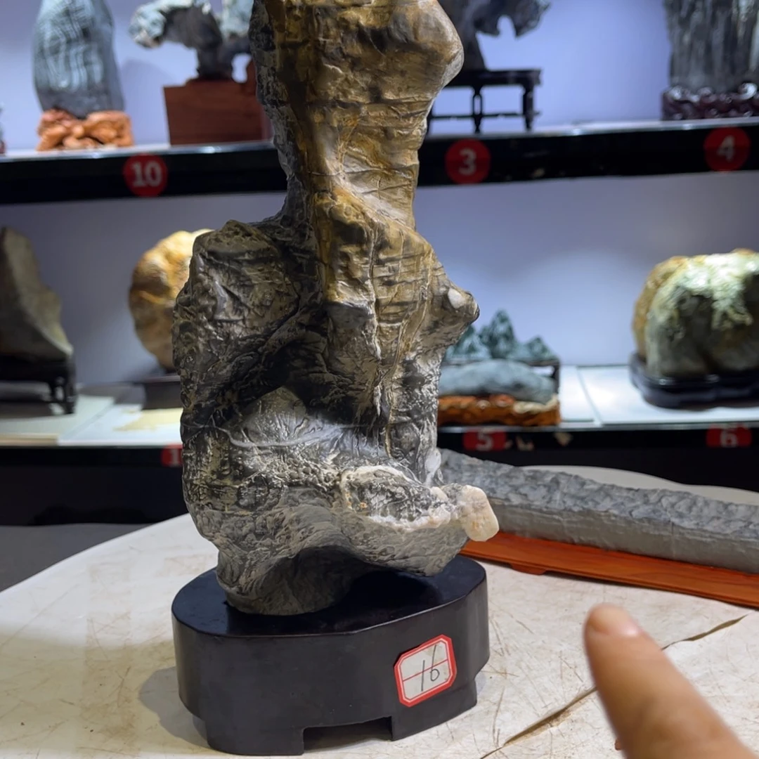 知***舍石材全场观众起立致敬我们喜欢这个