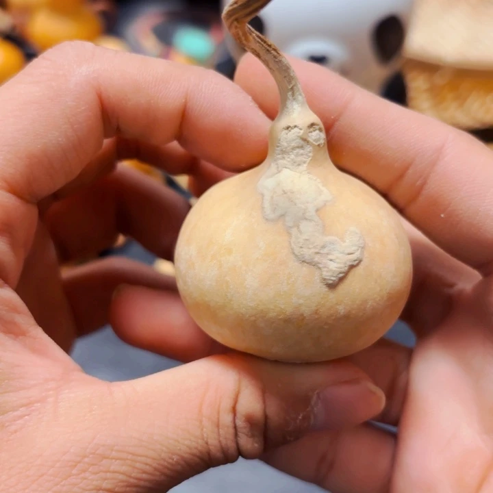 云**辰888889888888888888