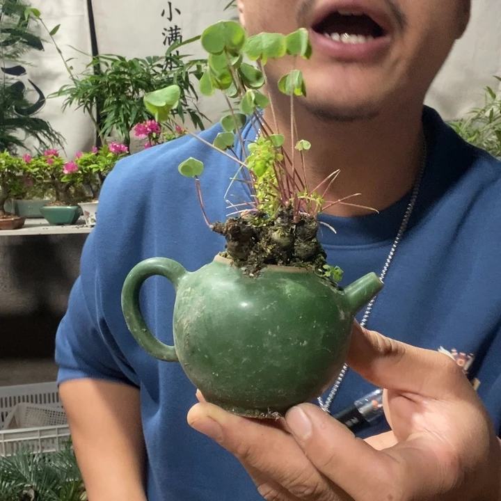 以实际为准退款拉黑拉黑64