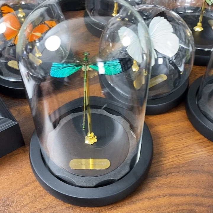 大理石磁石花艳色聪玻璃罩框