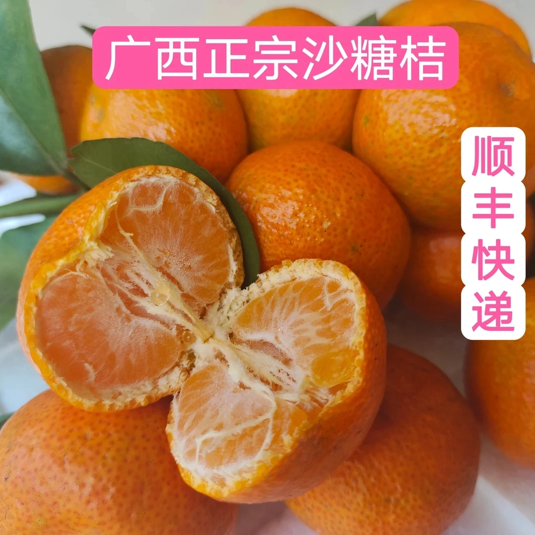 广西沙糖桔寄顺丰快递