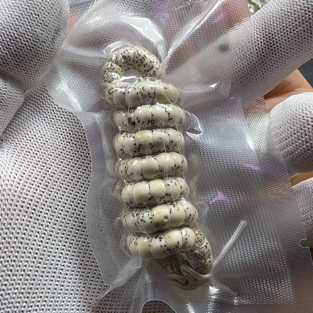 星月菩提手串月****3星月菩提7mm原生态大肠（氧化走色）