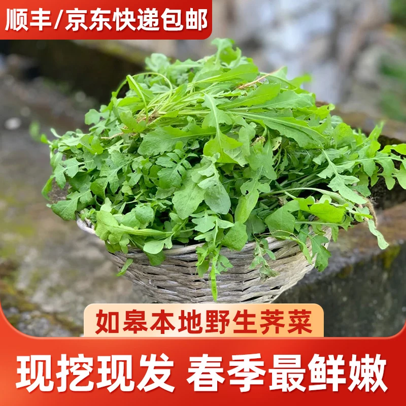 如皋本地野生荠菜3斤 时令蔬菜