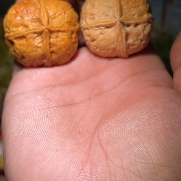 吊坠文玩核桃滇西85