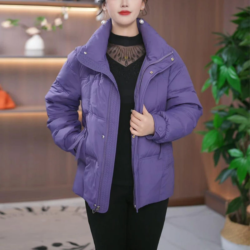 【艾瑞定制】洋气立领羽绒服女冬2024年时尚加厚宽松休闲免洗外套