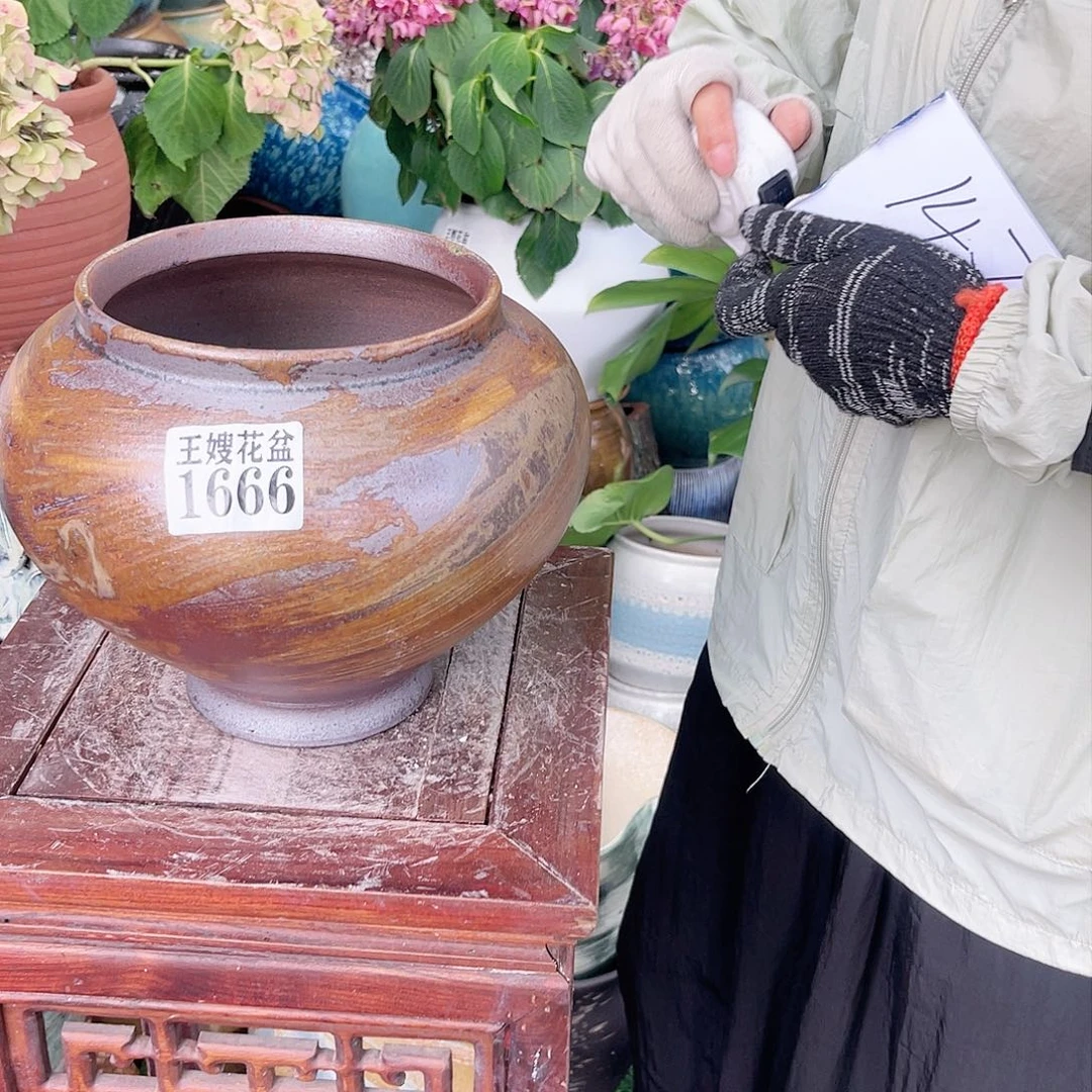 紫砂花盆王嫂花盆直播0606-1666高21口17