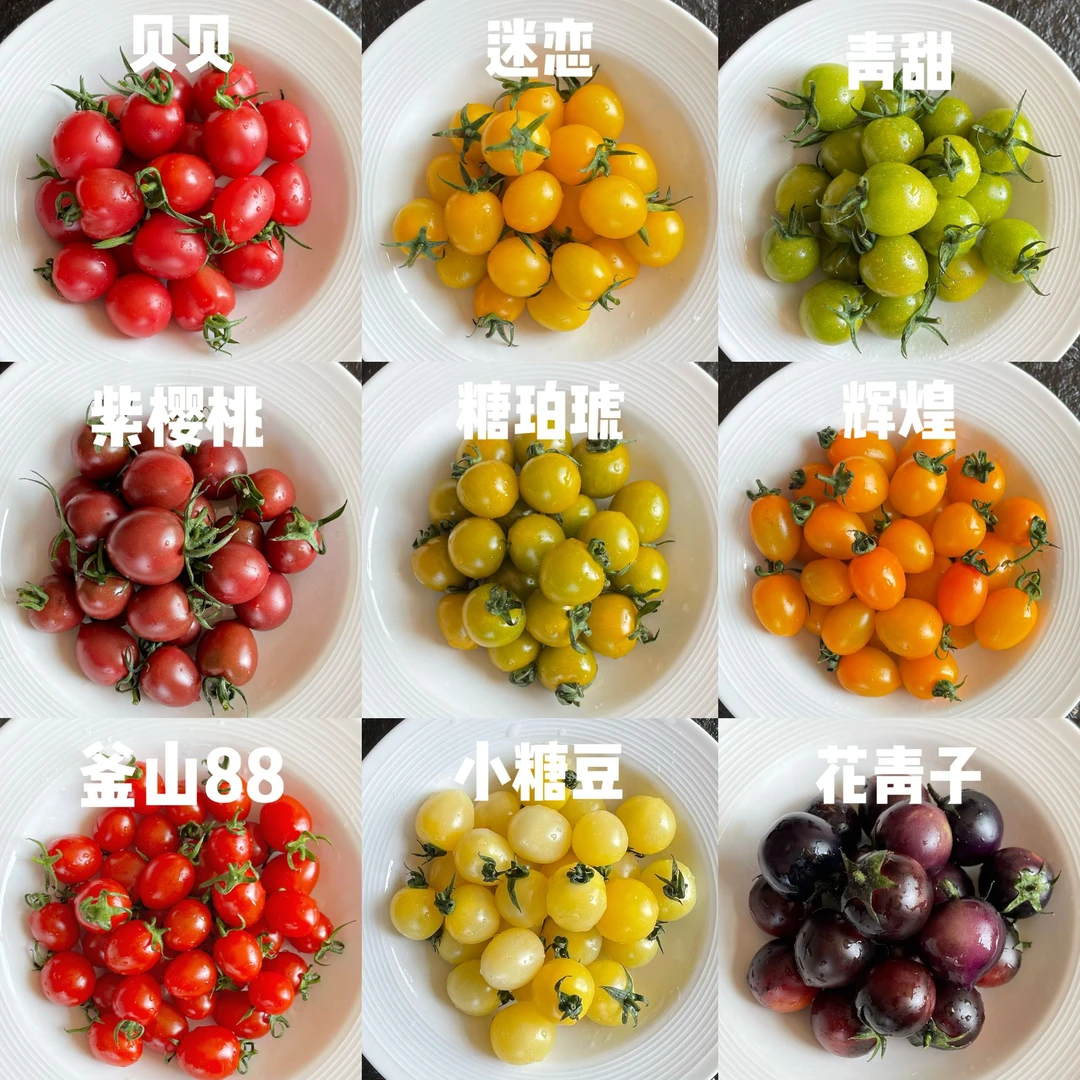 番茄盲盒·多彩“有味儿”小番茄