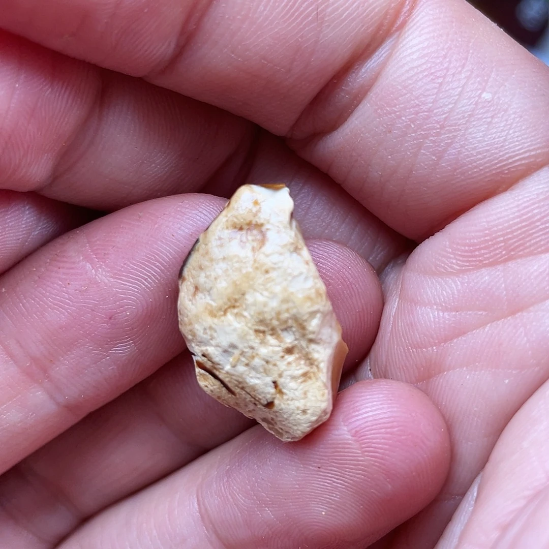 定制琥珀未镶嵌天然蜜蜡