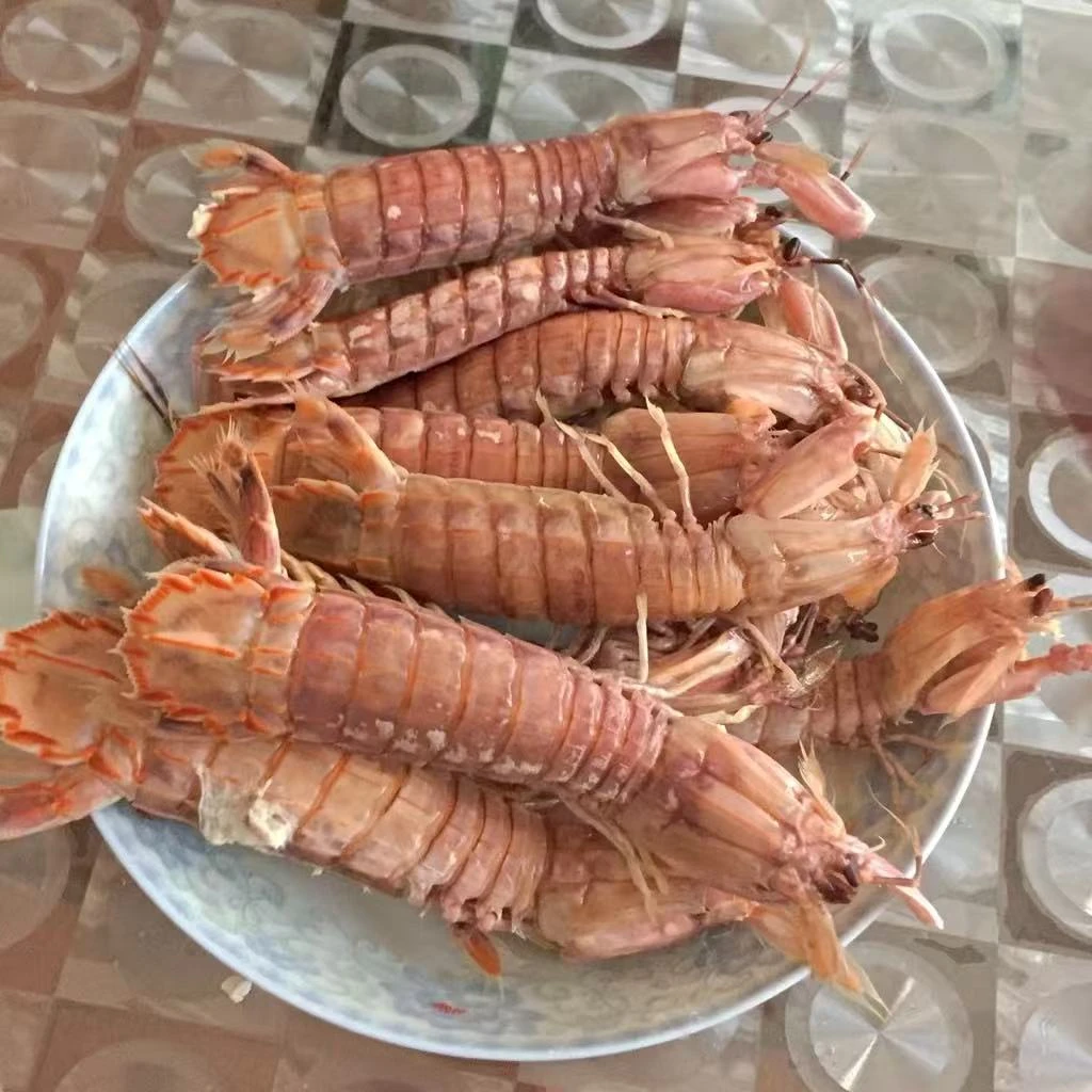 本地小船鲜美爬虾（保鲜不保活）