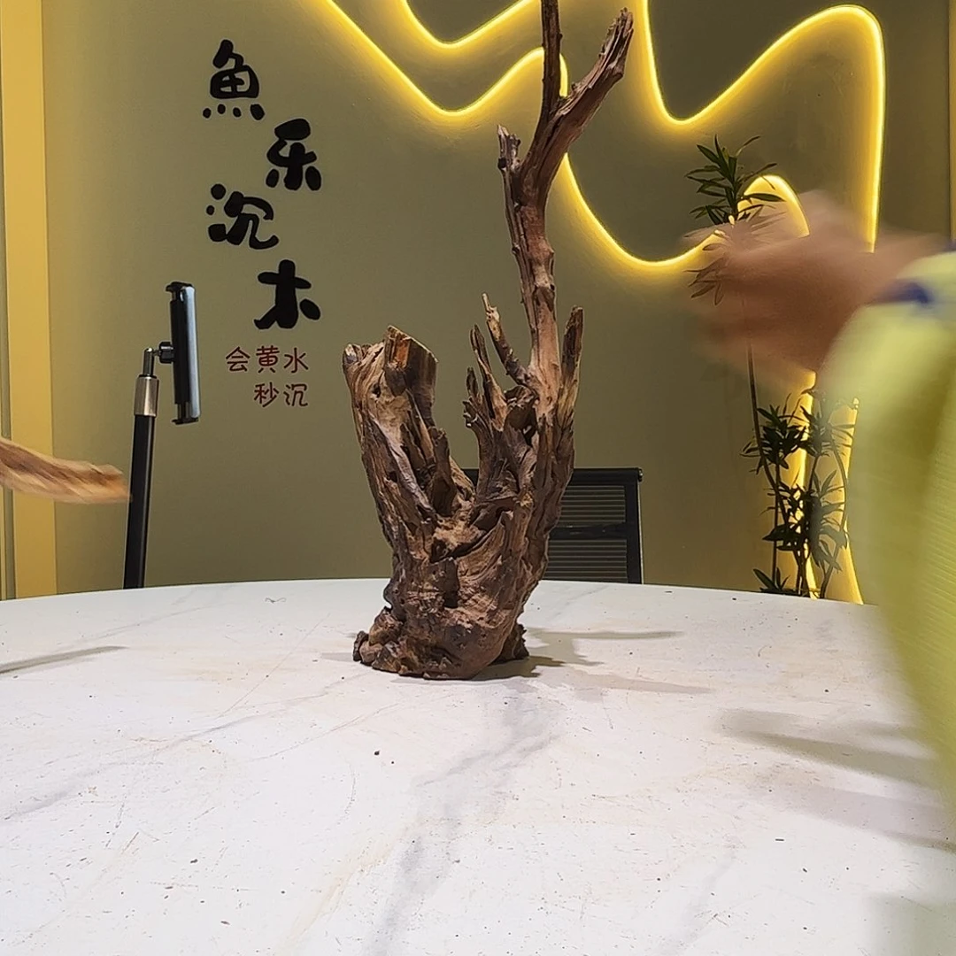 瓦当海*会黄黑红水580。21 11 51