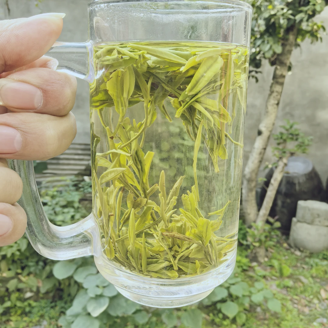 2025年新茶黄山毛峰原产地高山土种浓香耐泡一斤500g8-8