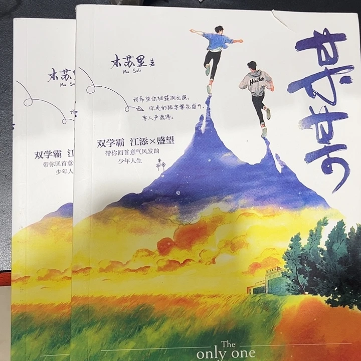 某某全新全套三本带周边未删减