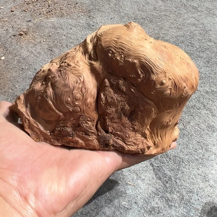 荔枝木朋*荔枝木毛料