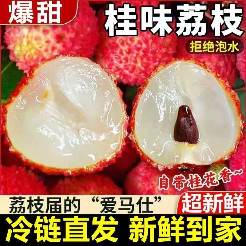 广东桂味老树荔枝现摘直发冷链包邮爆甜多汁新鲜水果