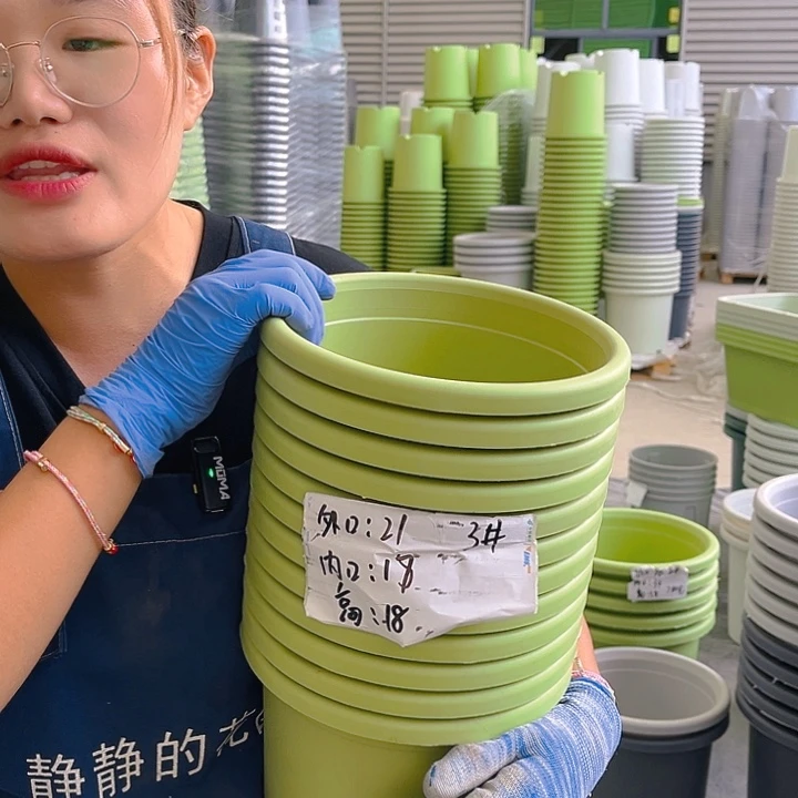 四季盆3#果绿色10个无托