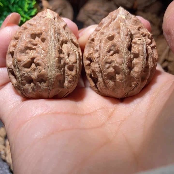 把件文玩核桃东北楸子小雪238