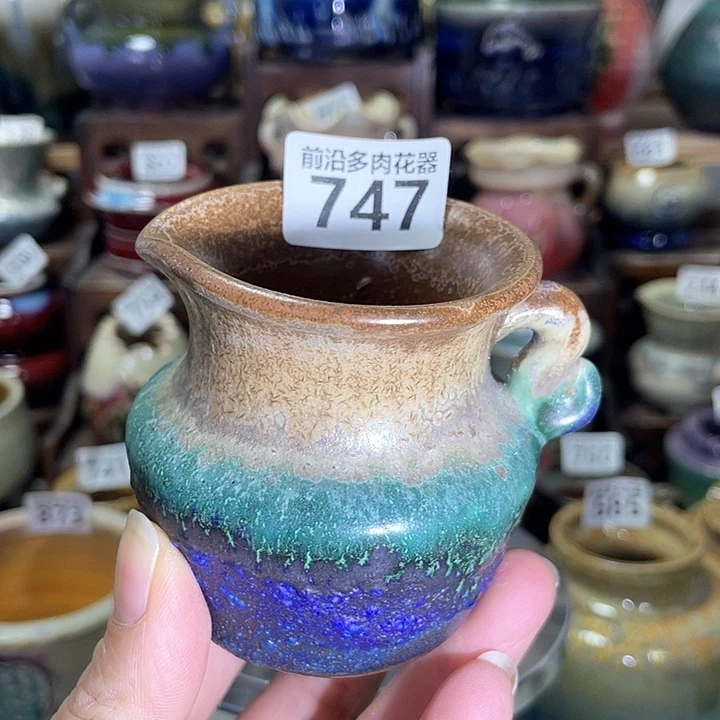 红陶内口径6高度6