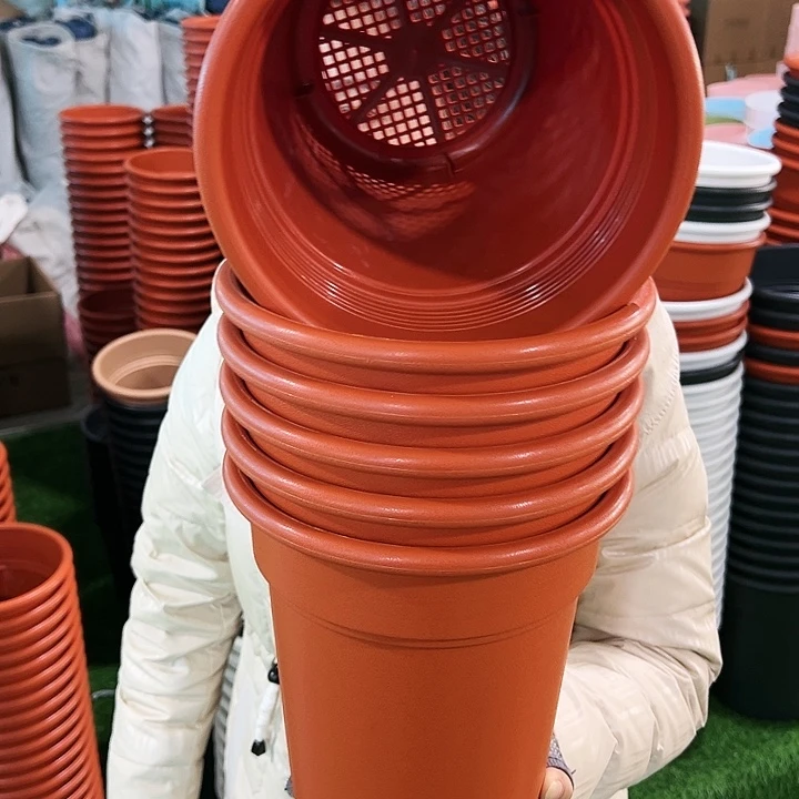 特价翻边口21高22陶红无托6只