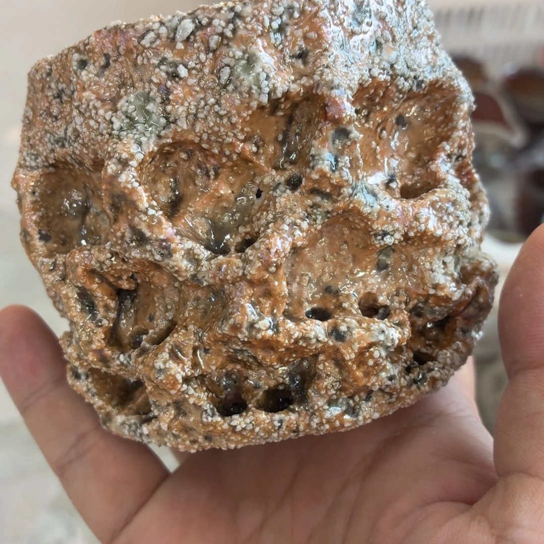 陶园柴烧，精品高货229