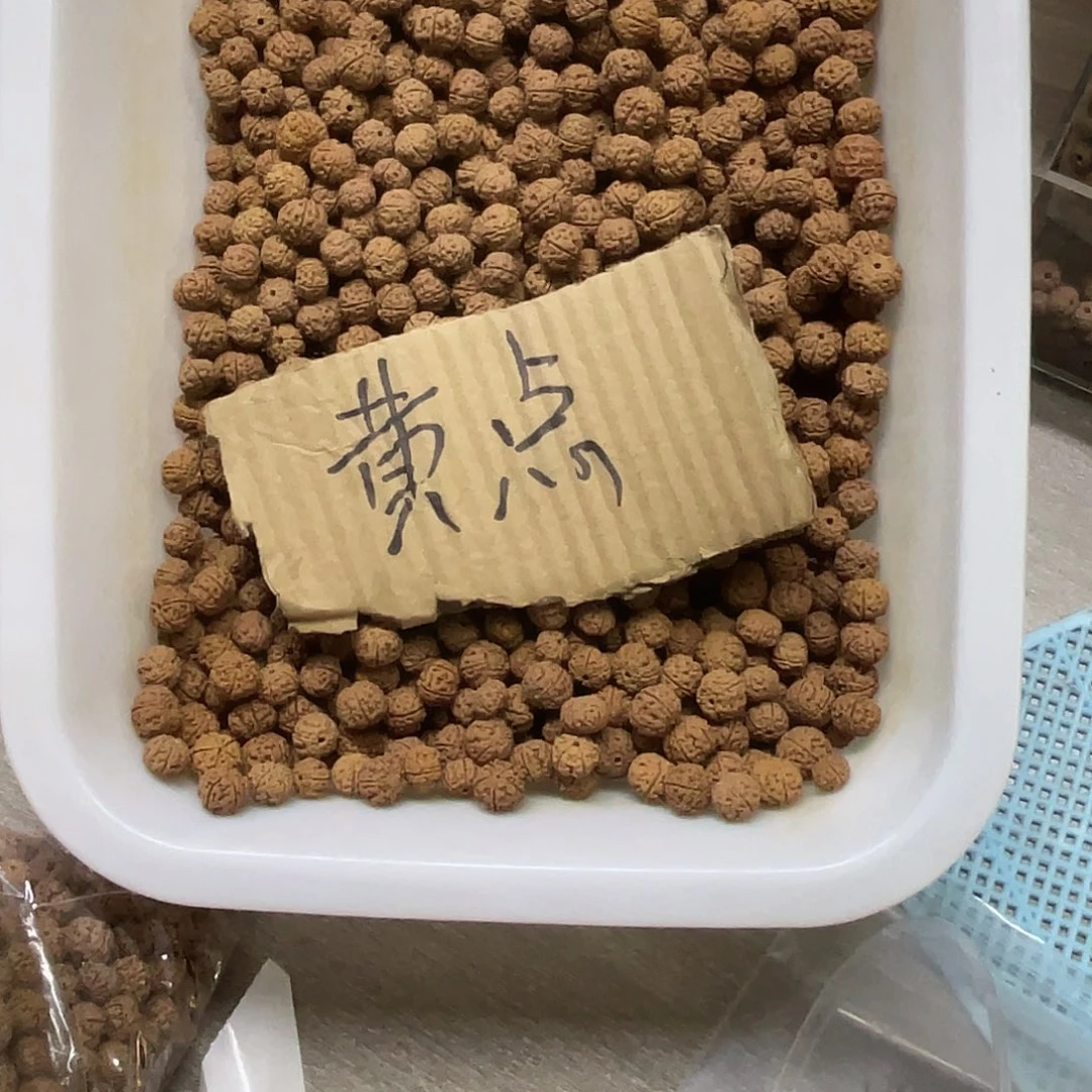 罗***亮手串金刚菩提散籽老树王