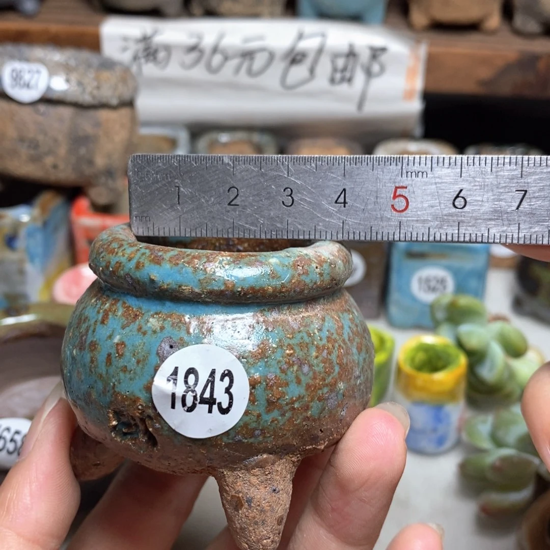 拍3送一个小礼物