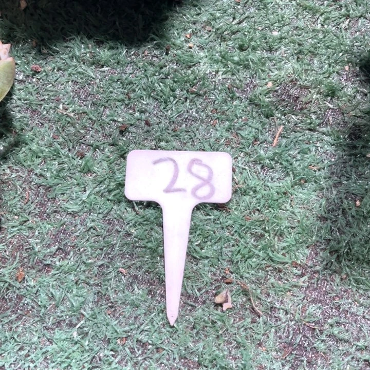 保泠箱28号码牌子的话题