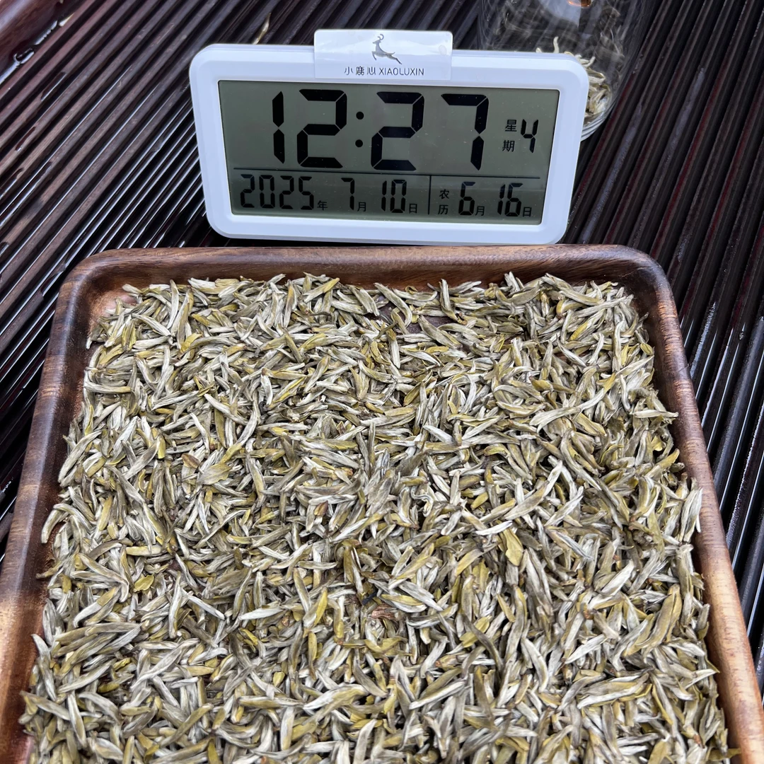 茉莉金龍毫 小鹿收茶 茉莉花茶 7月10