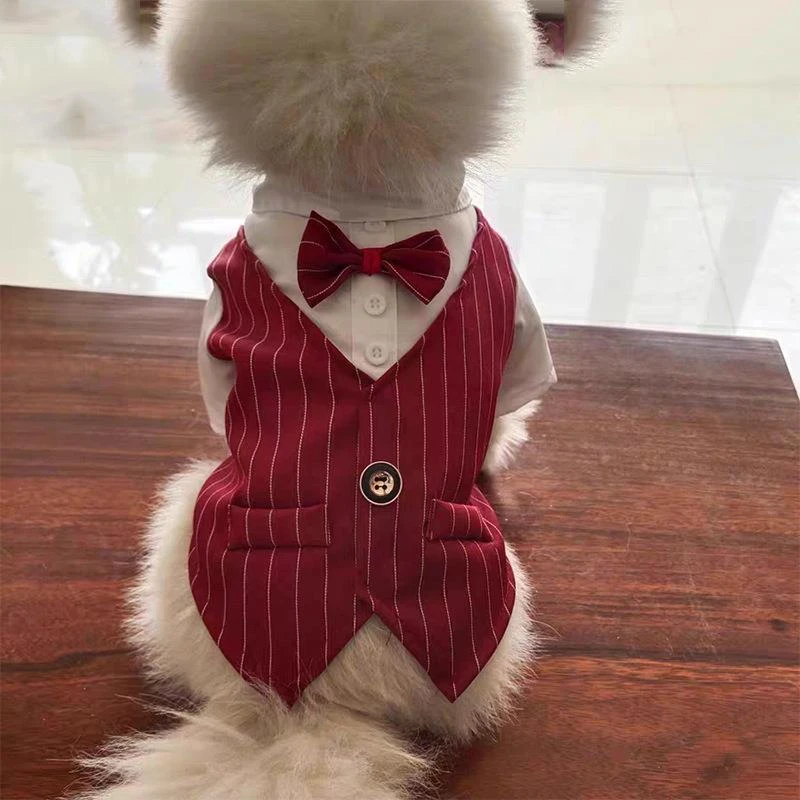 W宠物狗狗西装比熊泰迪参加婚礼西服结婚礼服装饰夏天夏季薄款衬