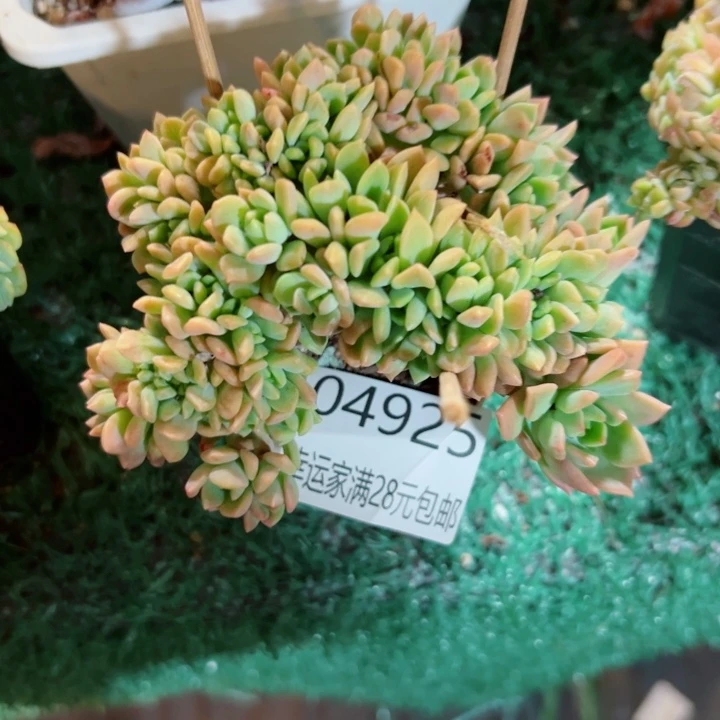 幸运的是我还没遇到过这样