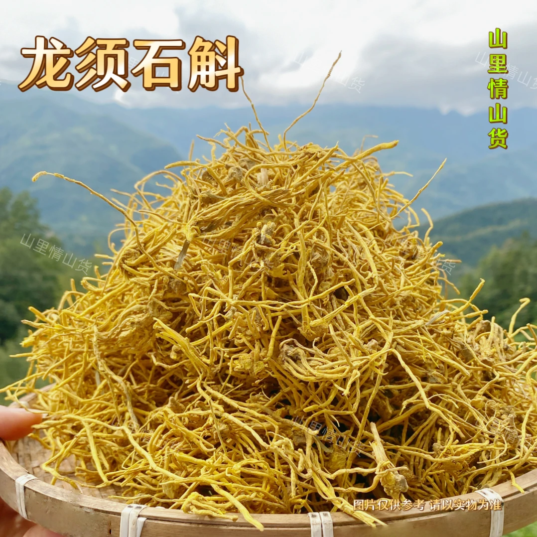太阳姐姐 - 龙须石斛