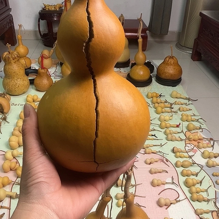 大****天裂葫芦葫芦葫芦