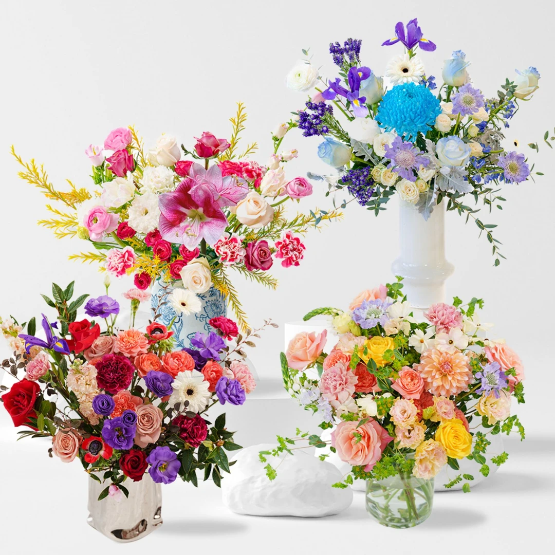 云南生活鲜花【包月配送】订阅鲜花顺丰冷链包邮到家