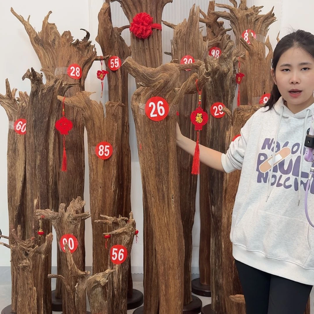 沉香沉香碎屑原材料