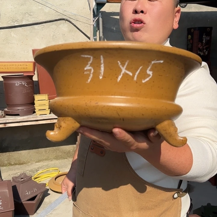 花盆紫砂这是什么