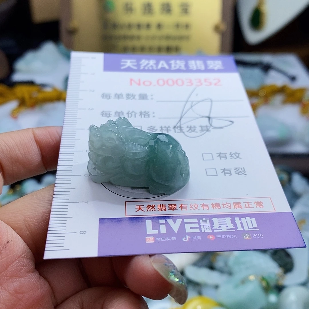 翡翠未镶嵌颈饰3352