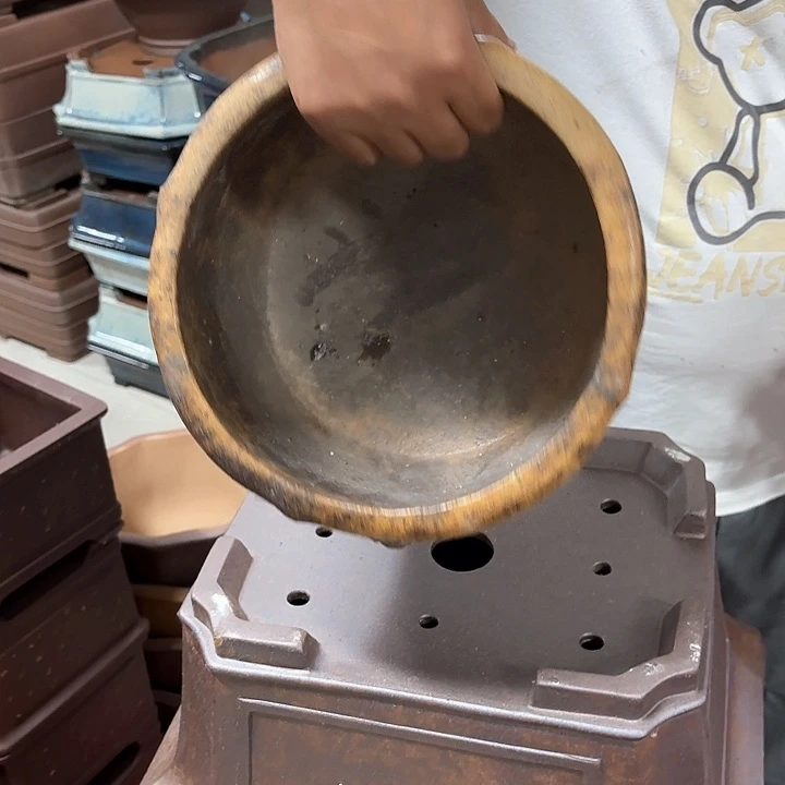 紫砂花盆老****〉紫砂的味道很好喝
