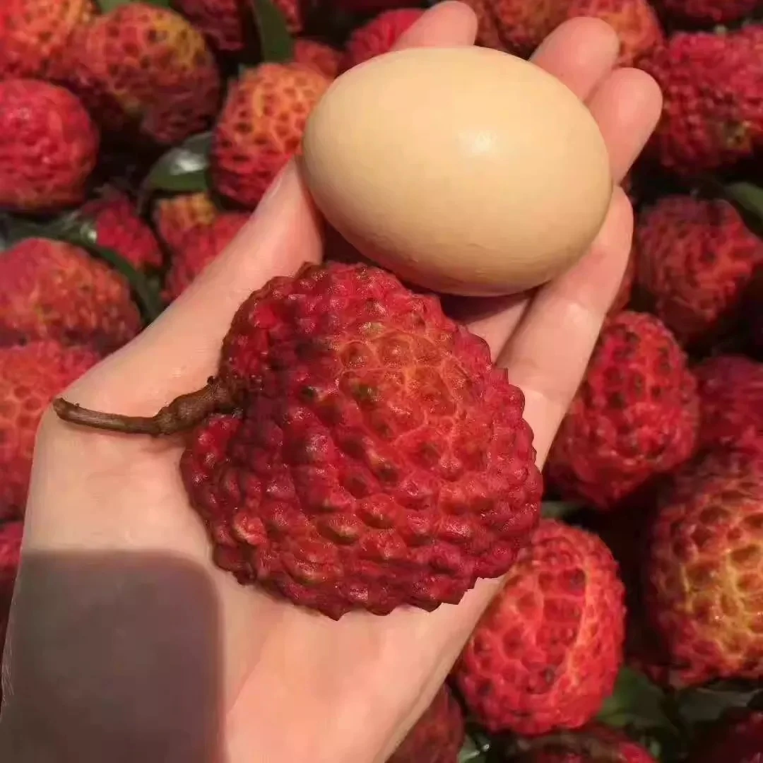 【顺丰包邮】正宗海南火山荔枝王新鲜应季水果