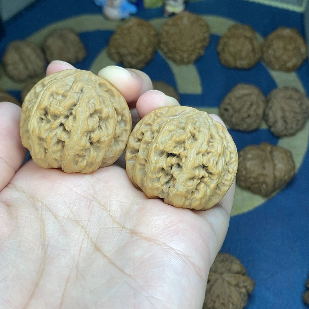 精品文玩核桃小粗筋