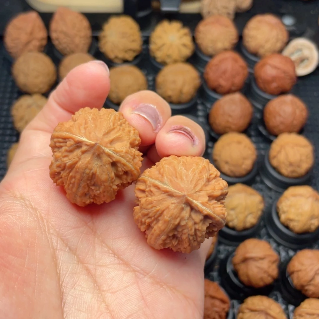 【闪购商品】把件文玩核桃粗筋
