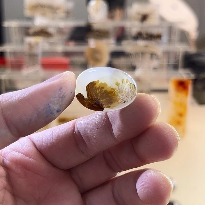 未镶嵌吊坠(不含链)玛瑙/玉髓