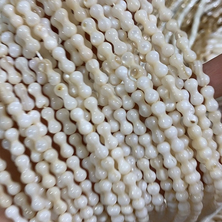 2条天然贝壳花生