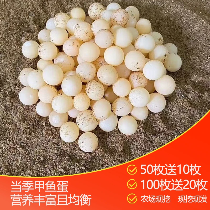 顺丰包邮甲鱼蛋新鲜可食用生态中华鳖蛋