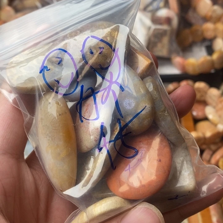 *****颈饰未镶嵌硅化珊瑚（珊瑚玉）