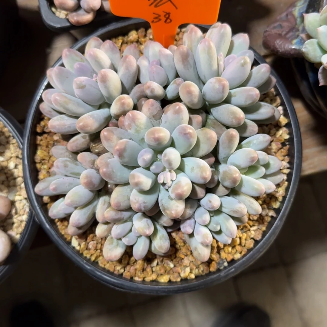 宏***1111111111111111111