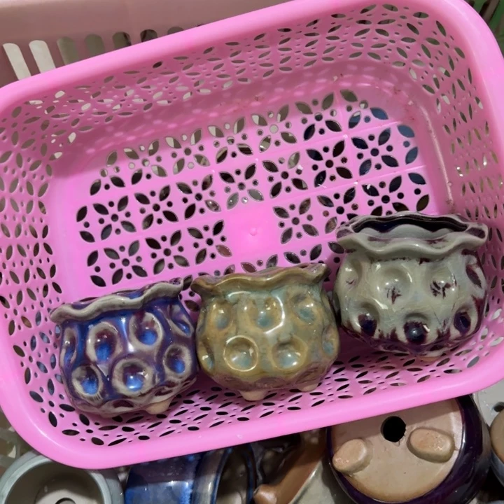 花盆花盆花盆花盆